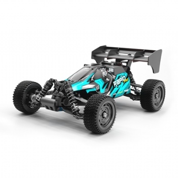 SCY-16202PRO 1/16 scale rear wheel drive brushless rc buggy