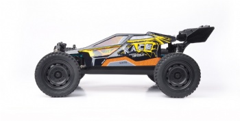 SCY-16201 1/16 scale 4WD off-road brushed rc buggy
