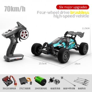 SCY-16201PRO 1/16 scale 4WD brushless rc buggy