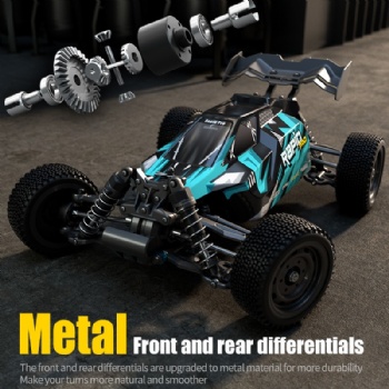 SCY-16201PRO 1/16 scale 4WD brushless rc buggy